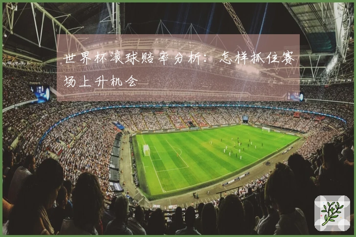 世界杯滚球赔率分析：怎样抓住赛场上升机会