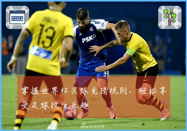 掌握世界杯买球竞猜规则，轻松享受足球投注乐趣
