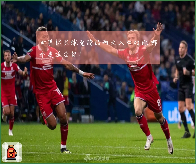世界杯买球竞猜的两大入口对比 哪个更适合你？