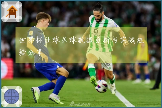 世界杯让球买球数据分析与实战经验分享